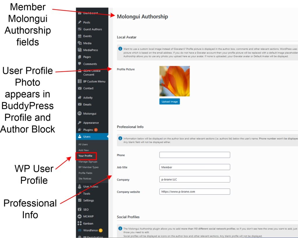 Molongui Authorship Profile Photo and Profession Info page